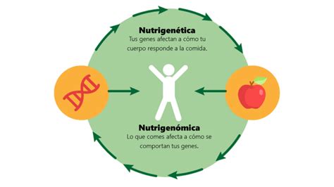 Nutrigenómica y nutrigenética El futuro de la nutrición deportiva