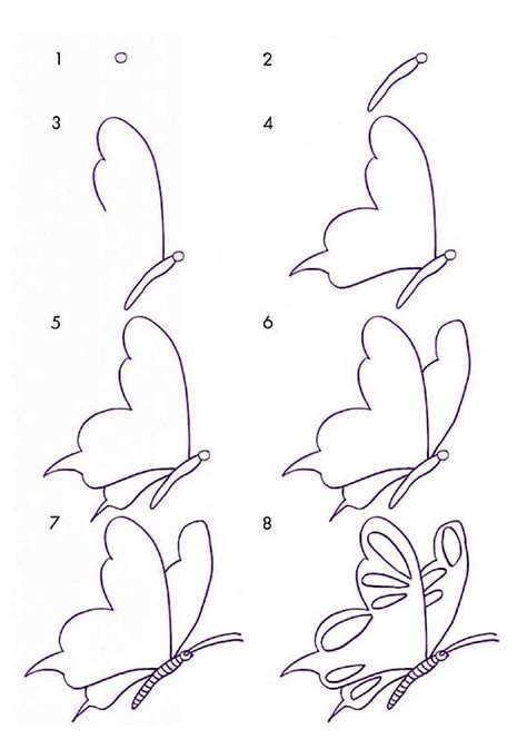 How To Draw A Nice Butterfly Step By Step Drawing Photos