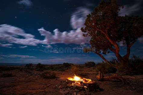 Bonfire Under The Stars Stock Image Image Of Light Dark 57204555