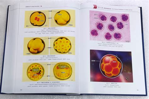 彭克美教授编著动物组织学与胚胎学彩色图谱出版发行 动物医学实验教学示范中心