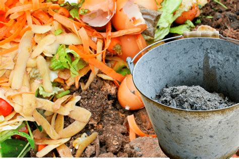 Est Ce Que Je Peux Mettre Des Cendres De Bois Dans Mon Compost Aiga