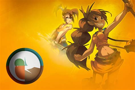 DOFUS Guide et Stuff du Féca Multi Élément Breakflip