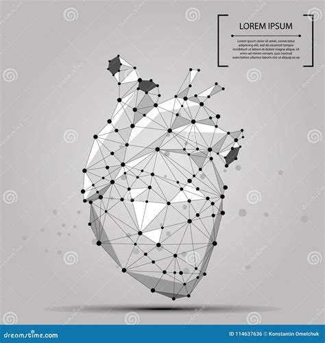 Órgano Interno Poligonal Abstracto Del Corazón Humano De La Línea Y Del