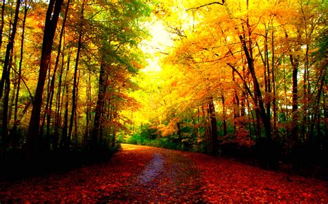 beautiful autumn wallpapers wallpaper cave