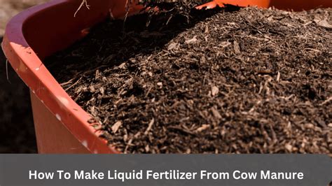 How To Make Liquid Fertilizer From Cow Manure