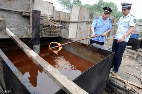 济南地沟油案：五百吨冒充食用油销往安徽、辽宁、河南、山东等地地沟油杨传峰食用油新浪新闻