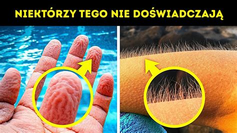 60 faktów o ludzkim ciele które przydadzą się na teście z biologii