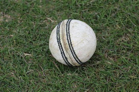 Photo of a White Leather Cricket Ball with Stitched Seams on Grass ...