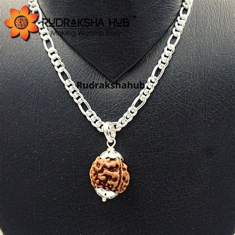 Mukhi Rudraksha Silver Pendant By Rudraksha Hub