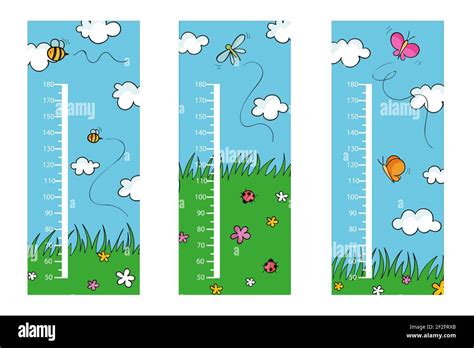 Cute Drawn Height Meters Collection Illustrated Vector Illustration