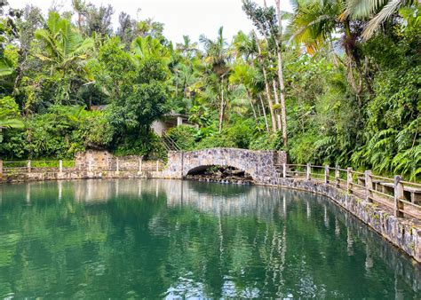 Visiting El Yunque National Forest: Everything You Need To Know ...