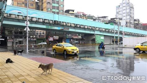 東森房屋 房產新聞 畢業後基隆買房！她住2年「打破不宜居印象」讚3點：非常喜歡