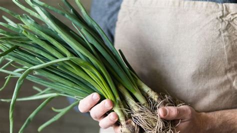 Daun Bawang Membantu Mengawal Gula Dalam Darah Ini Lagi 5 Khasiat Lainnya