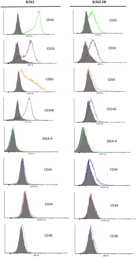 Flow Cytometry Of Cell Surface Markers Of K562 And K562 IR Cells CD45