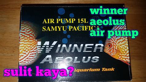 Winner Aeolus Air Pump YouTube