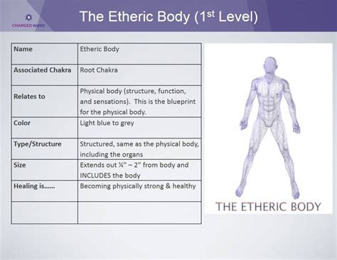 °1st Level Etheric Body Chakra Astrology Spiritual Zen Pinte