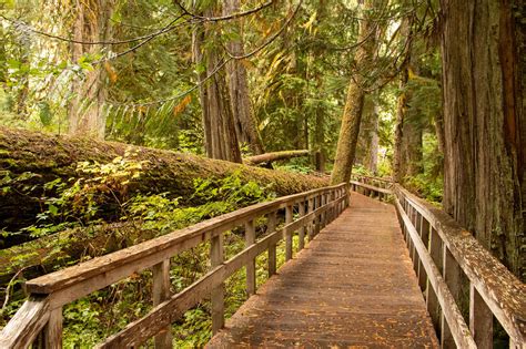 3 Easy Hikes in Mount Rainier National Park — Hiking for Donuts