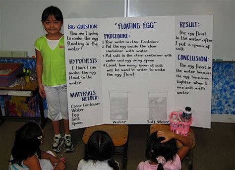 Science Fair Display Board For Floating Egg Floating Egg Science Fair