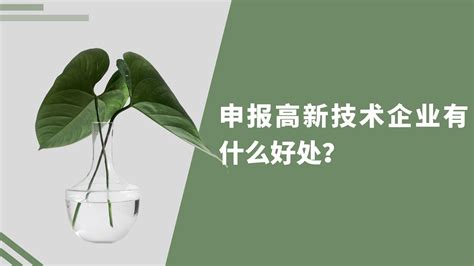 申报高新技术企业有什么好处？ 哔哩哔哩