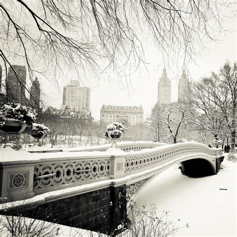 Best Spots for a Snowy Picture in NYC - Best Ambiance