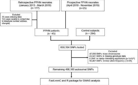 Scielo Brasil Possible Association Between A Polymorphism Of Epas1 Gene And Persistent