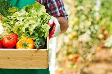 ¿qué Es La Agricultura Ecológica Kaeltia