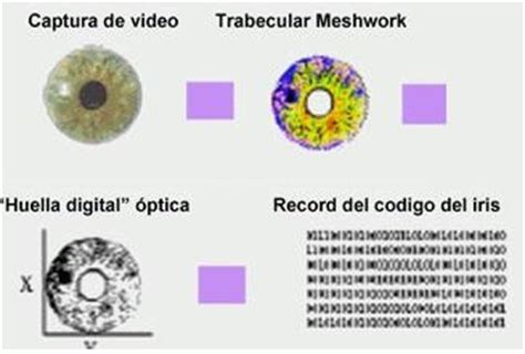 Sistemas biométricos Los más seguros en el control de accesos