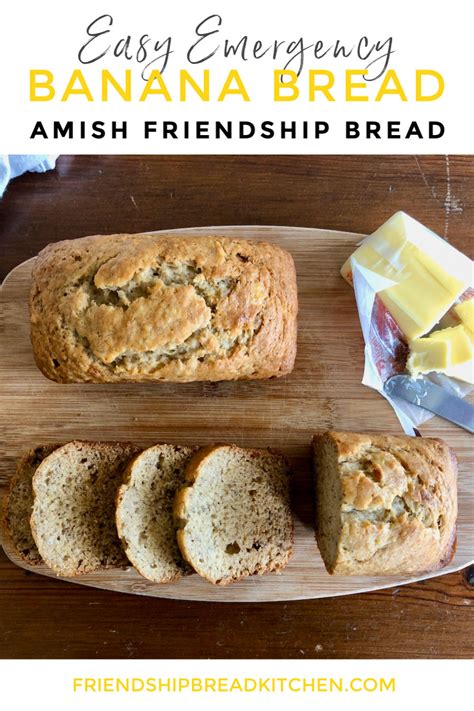 Amish friendship bread recipe variations – Artofit