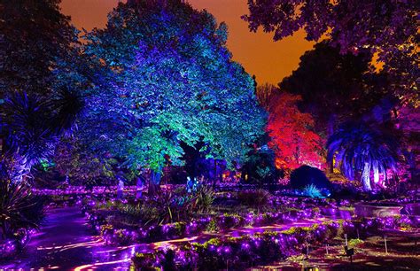 Naturaleza Encendida Un Viaje Luminoso Por Las Ciudades M S