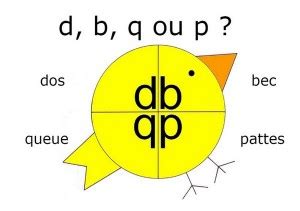 Poussin Dbqp