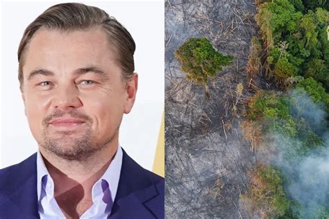 Leonardo Dicaprio Donates N18 Billion To Help Fight Amazon Rainforest