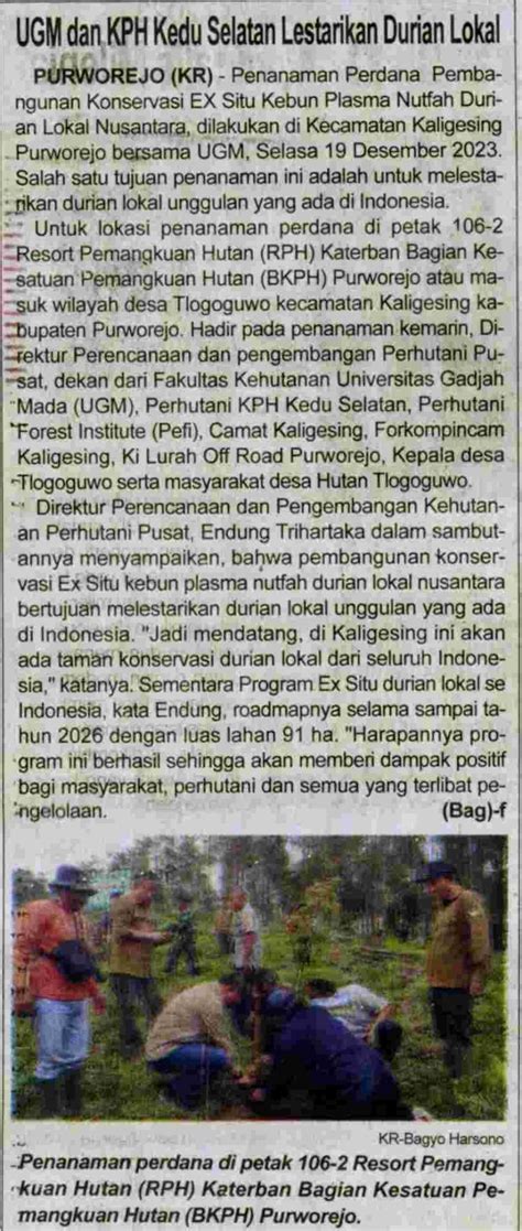 Ugm Dan Kph Kedu Selatan Lestarikan Durian Lokal Koran Humas Ugm Ac Id