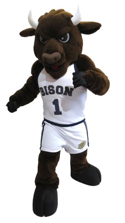 Catching Up With Gally, Gallaudet University's Bison Mascot