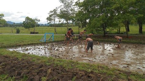 Imagens De Sítio Das Abelhas - Sítio das Abelhas - O que saber antes de ir (ATUALIZADO Abril 2026)