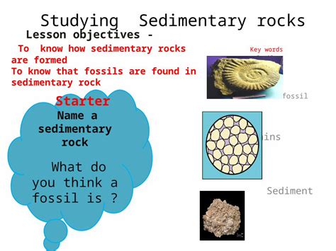 Pptx Studying Sedimentary Rocks Key Words Fosils Fossil Grains