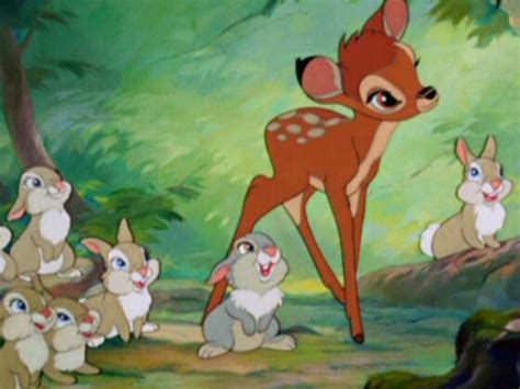 Bambi Effect Explained How Did The Disney Movie Change The World