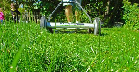 Grass Clipping Disposal 3 Simple Suggestions For A Clean Lawn