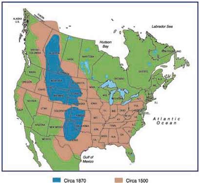 Bison Ecology Trappers And Traders Doing History Keeping The Past