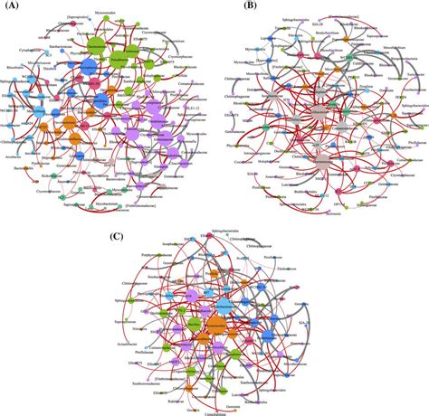 Phylogenetic Molecular Ecological Networks Pmens Of Large Aggregate