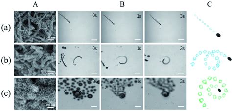 Propulsion Performance Of Mwcnt Mno Micromotors Loading With Different