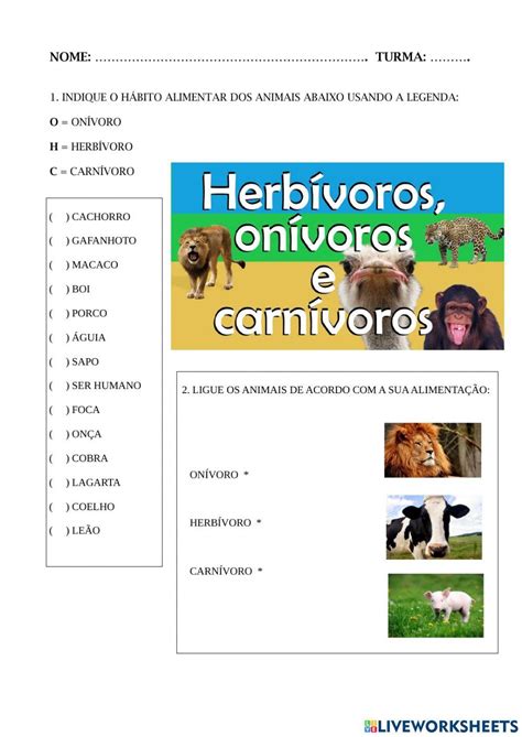 Herbivoros E Carnivoros