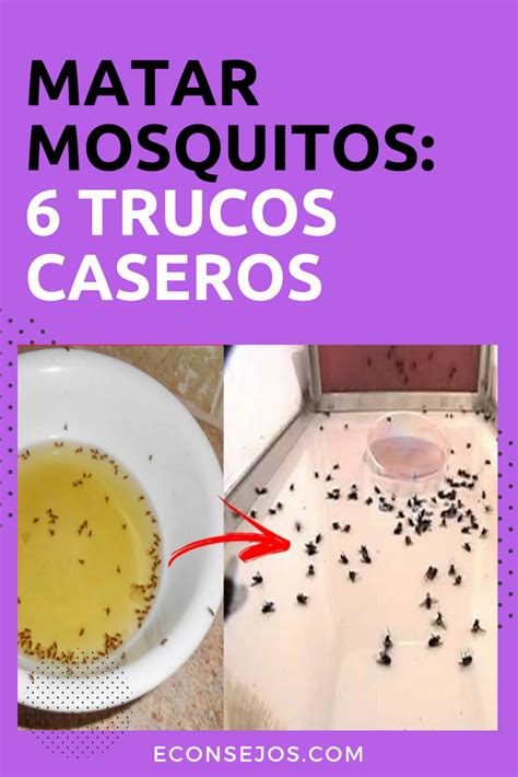 Ingeniesos M Todos Para Acaba Con Los Mosquitos Sin Qu Micos Ni