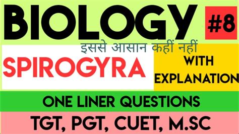 Spirogyra Structure General Character And Reproduction Biology