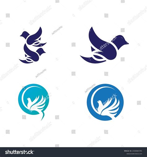 Dove Bird Logo Vector Design Illustration Stock Vector (Royalty Free ...