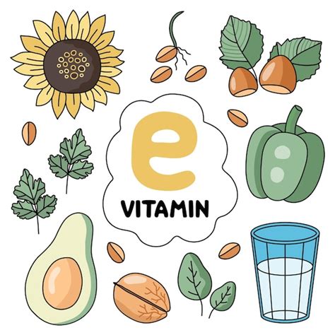 Premium Vector Vitamin E Products Food Sources Flat Vector