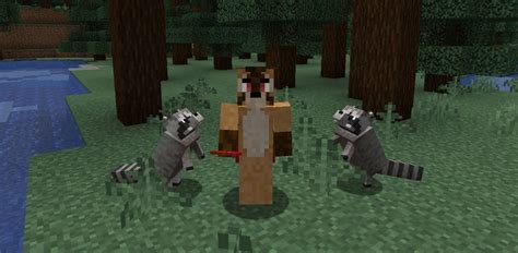 Raccoon In A Game On Twitter Last Extra Game Minecraft Page With Much Raccoons Skins M