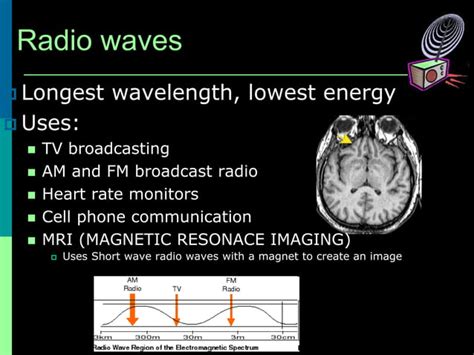 Electromagnetic Spectrum PPT Pptx