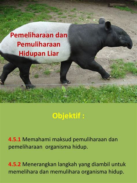 Pemeliharaan Dan Pemuliharaan Hidupan Liar Pdf