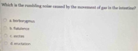 Solved Which Is The Rumbling Noise Caused By The Movement Of Gas In The Intestine A