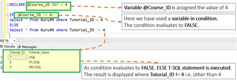 Sql Server If Else Statement T Sql Example Société Historique